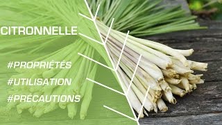 Comment utiliser la citronnelle   Phytothérapie [upl. by Eselrahc591]