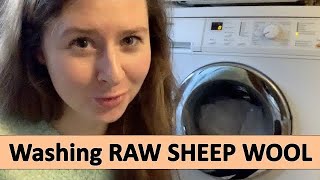 How To WASH Raw Sheep Wool In The Washing Machine  Sheep Wool Into Yarn For Making Socks PART 2 [upl. by Melinda]