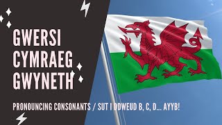 Welsh lessons Pronouncing consonants [upl. by Ikoek332]