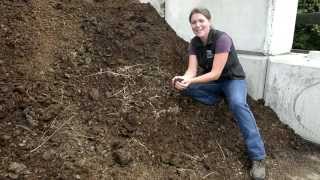 Composting with Horse Manure [upl. by Anide931]