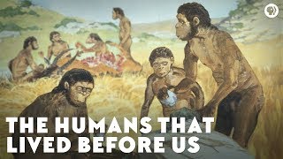 The Humans That Lived Before Us [upl. by Schlesinger597]