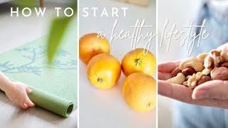 How to START a Healthy Lifestyle  7 pillars of good health [upl. by Anytsirk145]