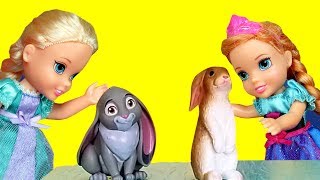 PETS  Elsa and Anna toddlers at school  spelling  Barbie is the teacher [upl. by Adnwahsor]