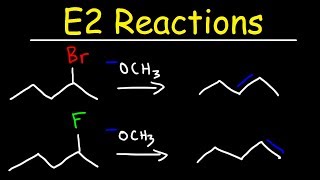 E2 Reaction Mechanism  Hoffman Elimination vs Zaitsevs Rule [upl. by Mendive]