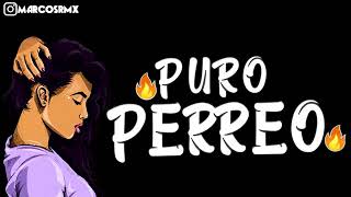 PURO PERREO 9🔥 BRASILERO 2019 MARCOS RMX [upl. by Yebot]