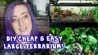 How to DIY  Large Aquarium Terrarium for Cheap  Rare Jewel Orchids Begonias amp More  PLANT DIY [upl. by Hetty]