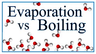 Boiling vs Evaporation Definition Examples amp Explanation [upl. by Aielam216]