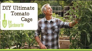 How to Make the Ultimate Tomato Cage [upl. by Reynolds]