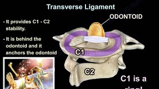 Spinal Cord Stimulation What is it and how can it help with Dr Adam Lundberg  The CORE Institute [upl. by Dalohcin913]