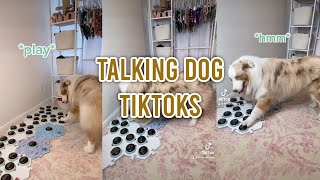 DOG TALKS TO OWNER USING BUTTONS  Talking dog Tiktok compilation [upl. by Erich934]