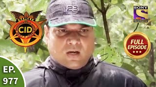 CID  सीआईडी  Ep 977 Jungle Mystery  Full Episode [upl. by Mychal]