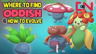 Where to Find Oddish Gloom amp How to Evolve into Vileplume amp Bellossom  Pokemon Sword and Shield [upl. by Oelak]