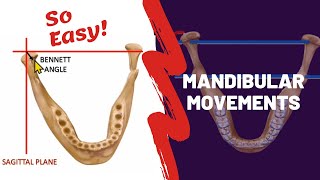 Mandibular Movements Simplified [upl. by Ynnoj]