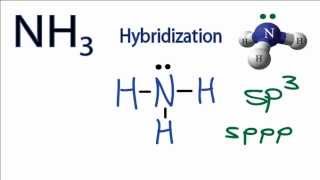 NH3 Hybridization Hybrid Orbitals for NH3 ammonia [upl. by Schwab]