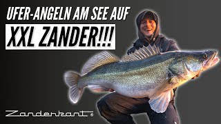 XXL Zander vom Ufer  Angeln im flachen See [upl. by Selyn732]