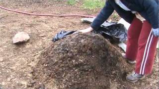 How to Compost Manure in Thirty Days [upl. by Leirud]