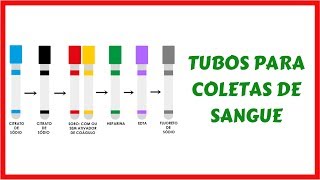 Tecido Sanguíneo Histologia  Resumo do Instagram BioAulas [upl. by Ennovihs490]