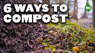 6 Different Ways To Compost No Matter Where You Live [upl. by Natascha]