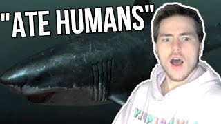 Fish Biologist reacts to quotAI Generated Megalodon Documentaryquot [upl. by Eidoc]