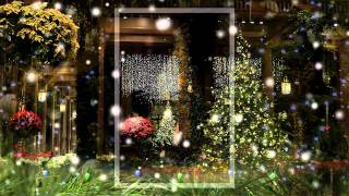 A Longwood Gardens Christmas [upl. by Cowles]