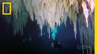 Explore the Worlds Largest Underwater Cave  National Geographic [upl. by Artema]