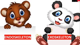 ENDOSKELETON AND EXOSKELETON  TYPES OF SKELETON  SCIENCE VIDEO FOR CHILDREN [upl. by Caty]