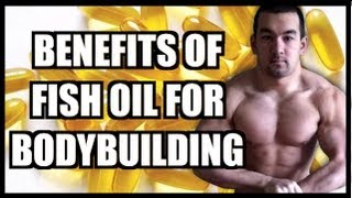 The Benefits Of Fish Oil For Bodybuilding [upl. by Alessandra]