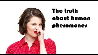 The truth about human pheromones [upl. by Fair]