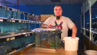 Fishkeeping Tips  How To Perform A Water Change On An Aquarium [upl. by Incrocci]