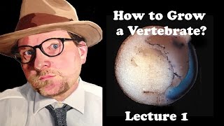 Lecture 1 How to Grow a Vertebrate [upl. by Yahs]