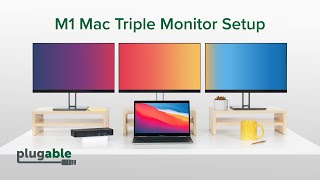 Add Three Extra Monitors to an Apple M1 Mac [upl. by Eessej]