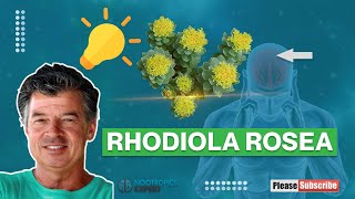 Rhodiola Rosea [upl. by Duwe]