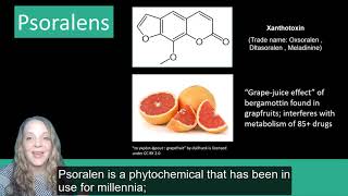 Plant Secondary Metabolites Phenolics [upl. by Adnahsor]