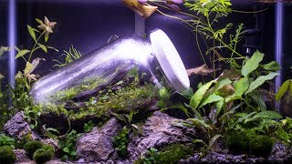 Worlds First Closed Terrarium in an Aquarium [upl. by Jurdi100]