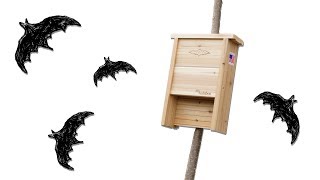 Find the best bat house amp where NOT to place it [upl. by Hazelton721]