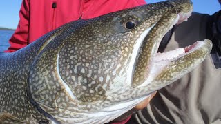 Lake Trout Jigging Techniques That Guides Dont Want You to Know [upl. by Nefets]