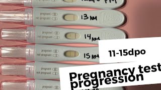 Early Signs of Pregnancy  By a LampD RN [upl. by Catharine]