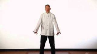 Immune Boost Qigong [upl. by Eibur693]