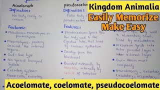 Acoelomate  Coelomate  Pdeudocoelomate  Kingdom Animalia  Class 11 [upl. by Imat216]