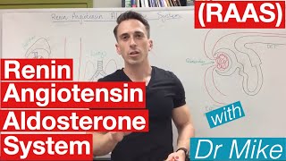 Renin Angiotensin Aldosterone system [upl. by Cirtemed]