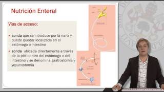 NUTRICIÓN ENTERAL GENERALIDADES [upl. by Eirojam342]