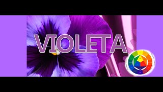 Como saco el Color Morado o Violeta [upl. by Anairam225]