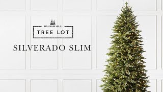 Silverado Slim  Tree Lot [upl. by Fraser]