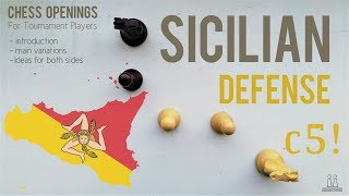 Sicilian Defense introduction ideas amp variations ⎸Chess Openings [upl. by Kapoor]