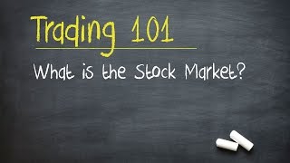 Trading 101 What is the Stock Market [upl. by Enyrehtac]