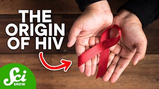 How HIV First Started in Humans [upl. by Nissy522]