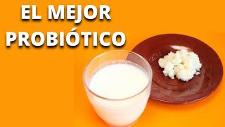 KEFIR BENEFICIOS para la SALUD de este alimento ancestral búlgaros [upl. by Betteanne334]