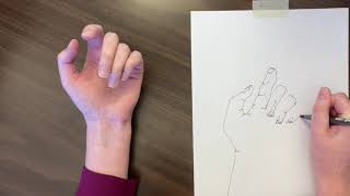 Blind Contour Drawing Hands [upl. by Oirazan]