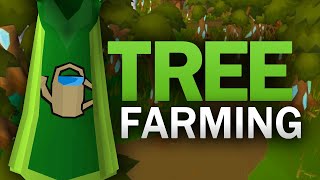 Complete Tree Farming Guide for OSRS [upl. by Primavera]