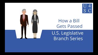 How a Bill Gets Passed From Bill to Law  US Legislative Branch Series  Academy 4 Social Change [upl. by Annatsirhc85]